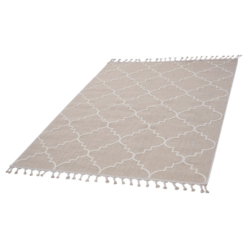 Traditional indoor/outdoor area rugs, Rectangle 6'7" x 7'9"