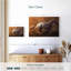 Cheval Appaloosa rapide-107704855