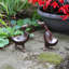Statues duckling bronze Krugerville