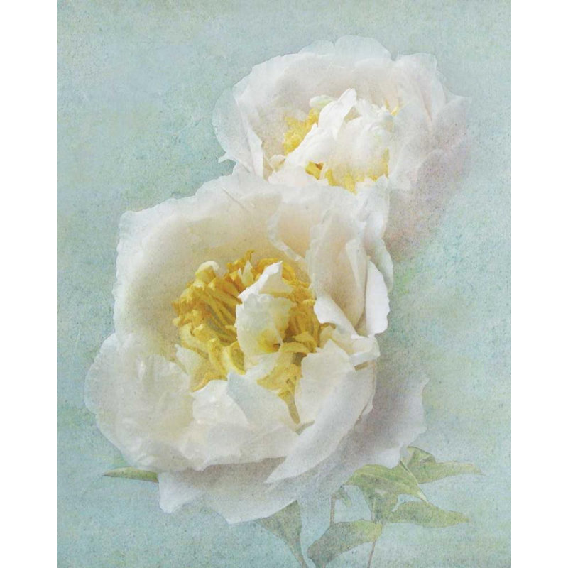 «Red Barrel Studio® Melious, Amy», reproduction d'art sur toile tendue sous le titre «Aqua Floral III»