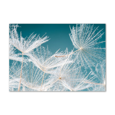 Dandelion Seeds - Wrapped Canvas Print
