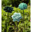 Ceramic Garden Flower Stakes, Set Of 3