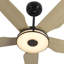 Ventilateur de plafond standard à DEL à 5 pales Ahriya avec télécommande et ensemble d'éclairage inclus-78297191-28156515