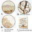 Baobab, arbre beige, minimalisme I - arbre, baobab, estampes-97171337-97171330