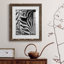 Zebra Colt - Photographie avec cadre photo-1635737486-1635583822