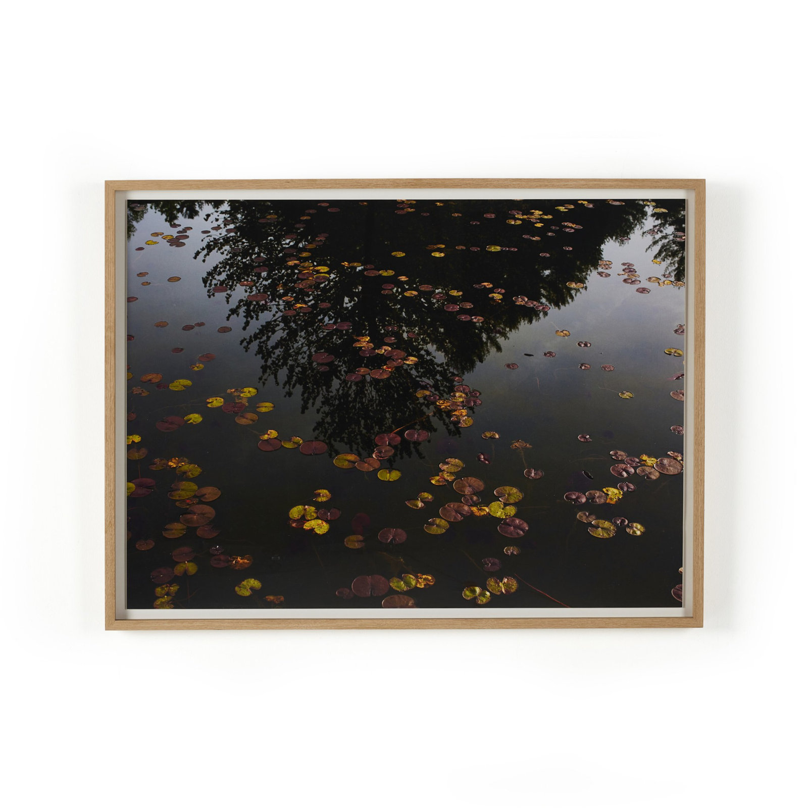 "Echo" by Shade Degges, 40" H x 60" W