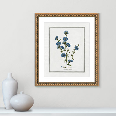 Colombe Soft Botanical I - Framed Art Full Bleed