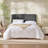 Chastelyne Upholstered Easy Assemble Wall Mounted Headboard-127316939-127316943
