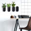 Wall Planter