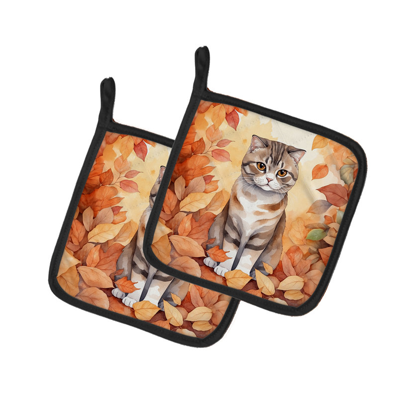 Paire de porte-pots Scottish Fold