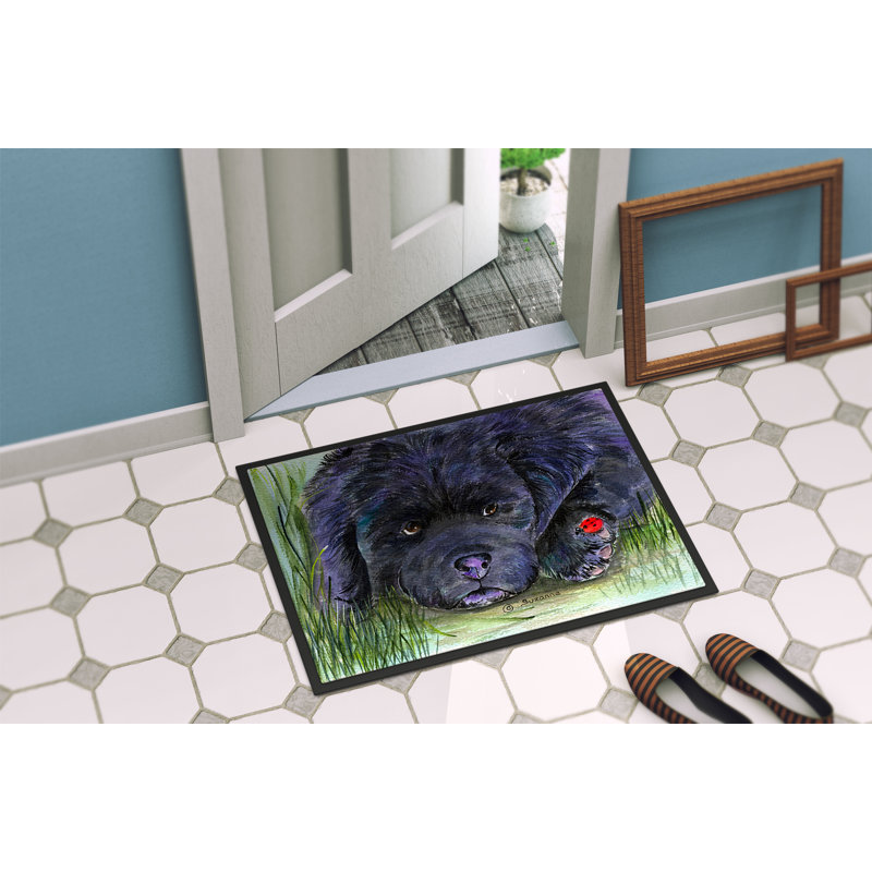 Tapis de porte intérieur anti-dérapant terre-neuve, Rectangle 2 pi x 3 pi
