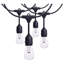 24 Foot LED String Light 12-S14 Lamps Medium Base RGBTW Infrared Remote Black 120V