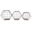 Ensemble de 3 tablettes murales hexagonales en fil métallique Wolsingham