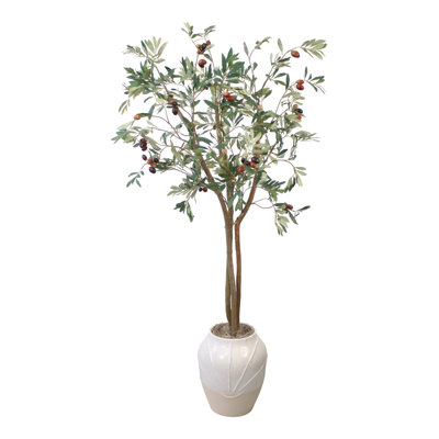 Olive dans un pot à fleurs blanc