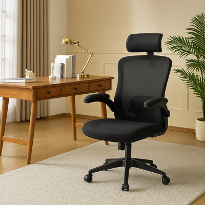 Kristmundur High Back Ergonomic Task Office Chair with Adjustable Lumber Support