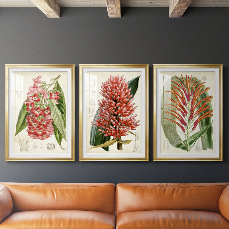 Tropical Gems IV - encadré sur mesure de qualité supérieure avec mat - 3 pièces, H 21 po x l 30 po, Doré