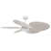 Bali 52in 5-Blades Indoor/Outdoor Ceiling Fan with Remote Control and Light