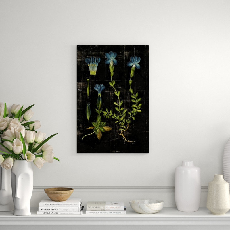 Botanical Study III Print by Michelle Bennett, Outdoor