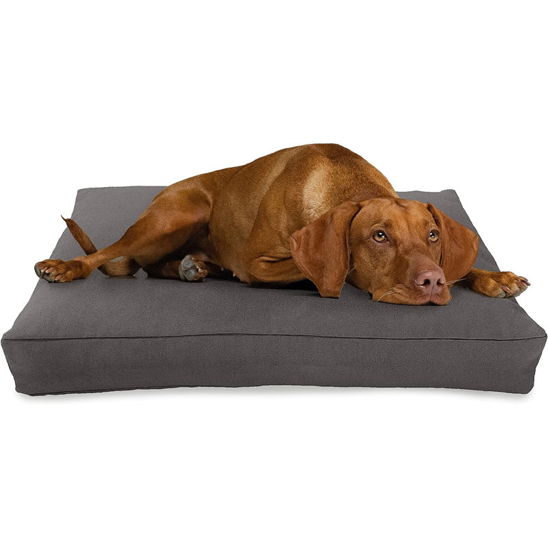 Lit pour chien Premium Premium, Chanvre gris ombre, Petit