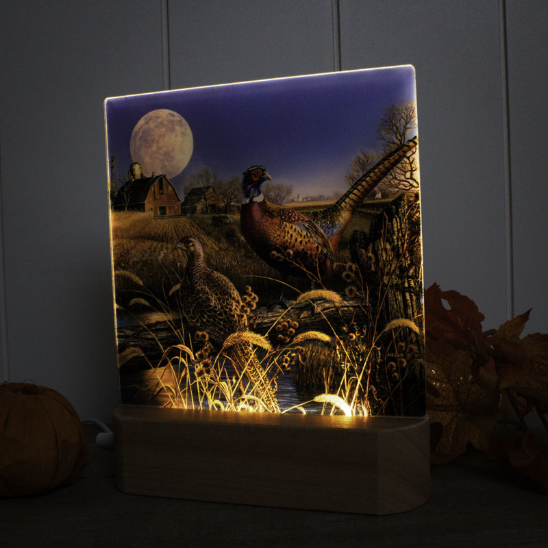 Harvest Moon LED Nightlight