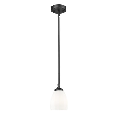 Luminaire suspendu 1 lumière Oren
