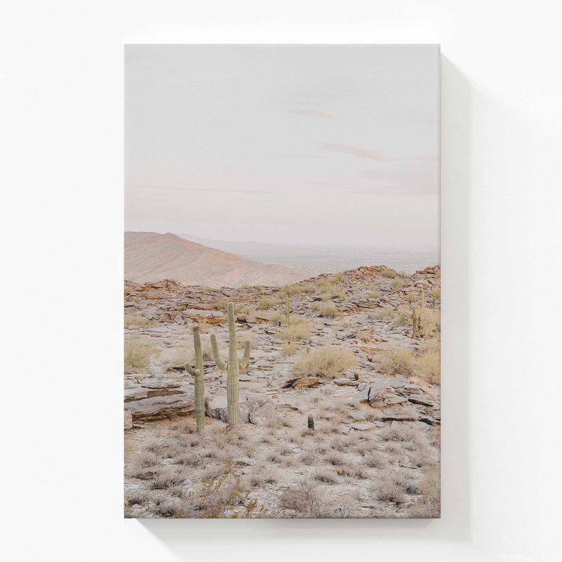 Spirit of the Desert, grande impression sur toile, H 54 po x l 36 po