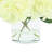 Hydrangea Arrangement in Vase