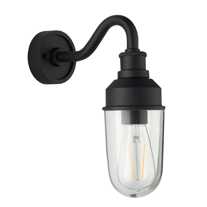 Kevelyn Brass Outdoor Barn Light, Black