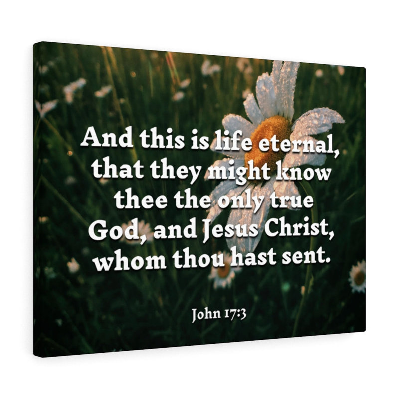 Life Eternal John 17:3 - Wrapped Canvas Print, 61cm H x 76cm W