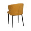 Azizah 47cm H Polyester Upholstered Upholstered Back Side Chair-1924899036