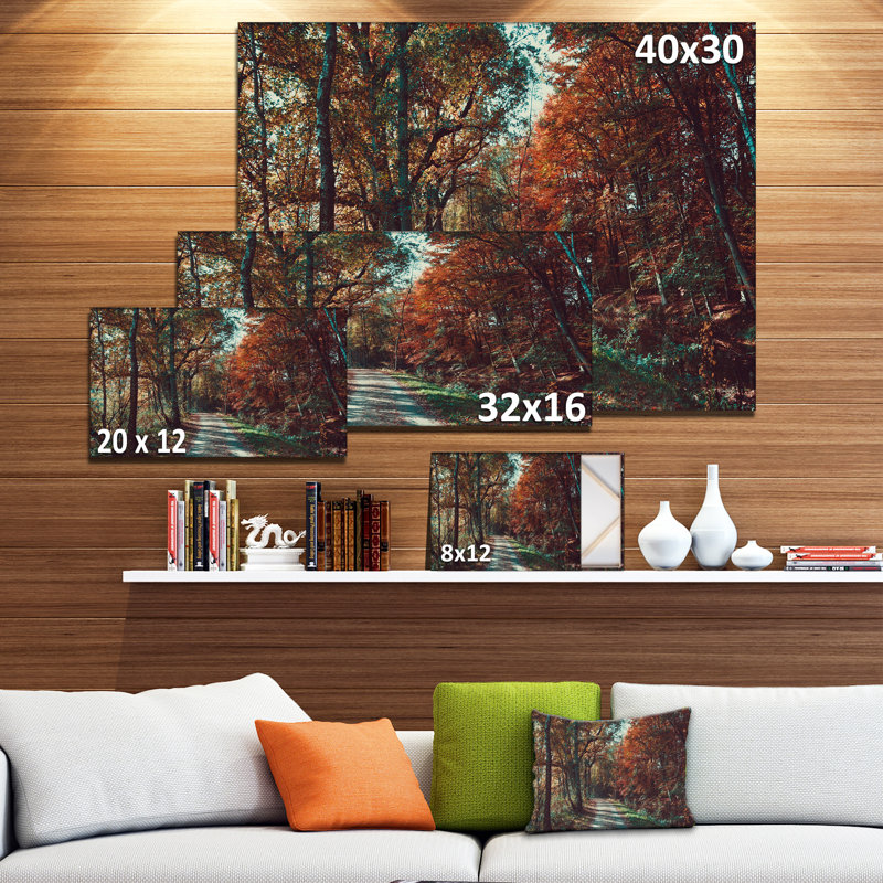 Autumn Road Through Forest Landscape Canvas Print, 40x30