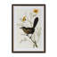 Summer Bird Framed Prints