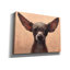 «Chihuahua» par Thomas Fluharty, estampe numérique sur toile-1801273926