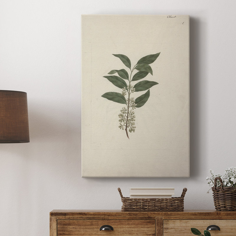 Motif floral rétro CLxxiv - galerie Cavas