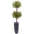 Olive Double Tree in Gray Cylinder Planter