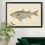 «Donovan Antique Fish IV», impression sur toile encadrée-769144025-769144021