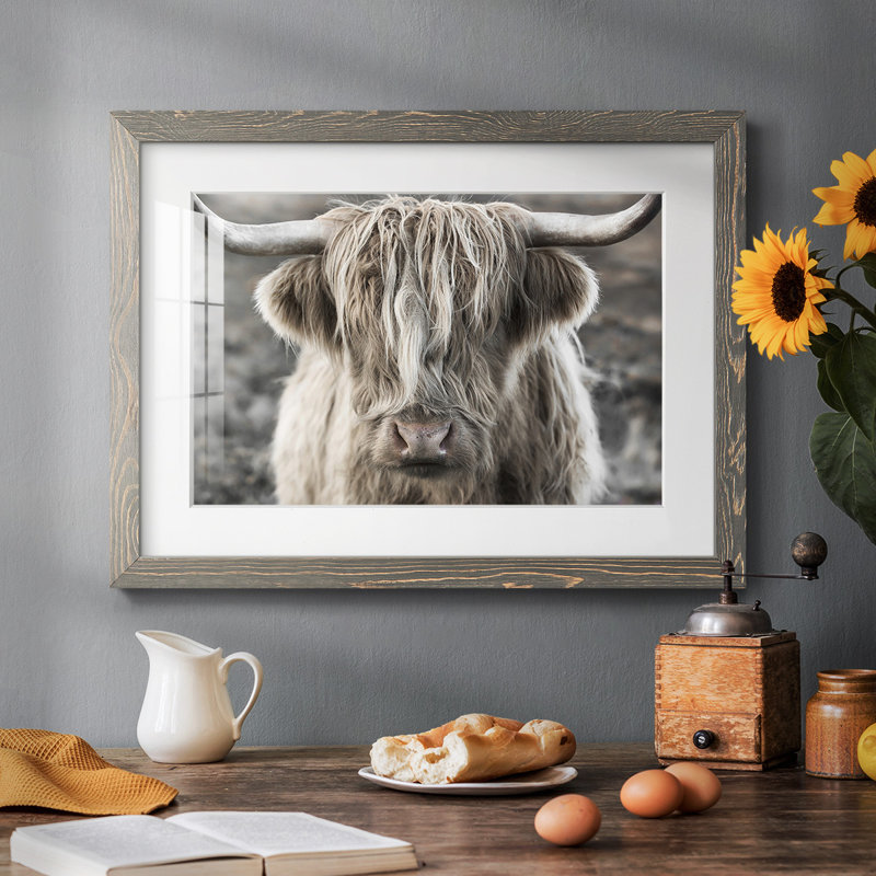 Highland Skye, reproduction d'art encadrée, Gris, H 28 po x l 42 po x P 1,5 po
