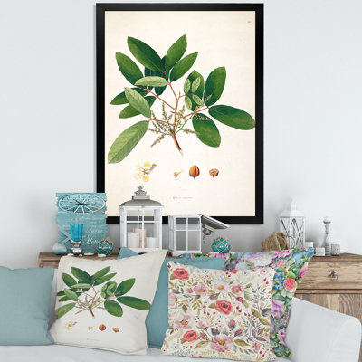 Vintage Botanicals II - peinture sur toile