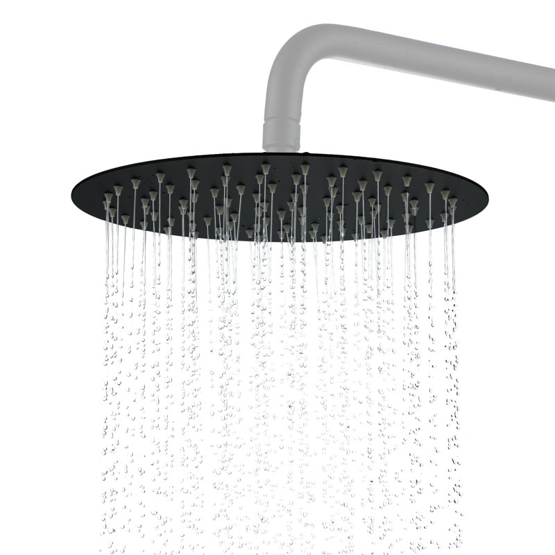 12" 304 Stainless Steel Rain Shower Head, Matte Black, Round