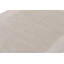 Hand Knotted Area Rug in Beige