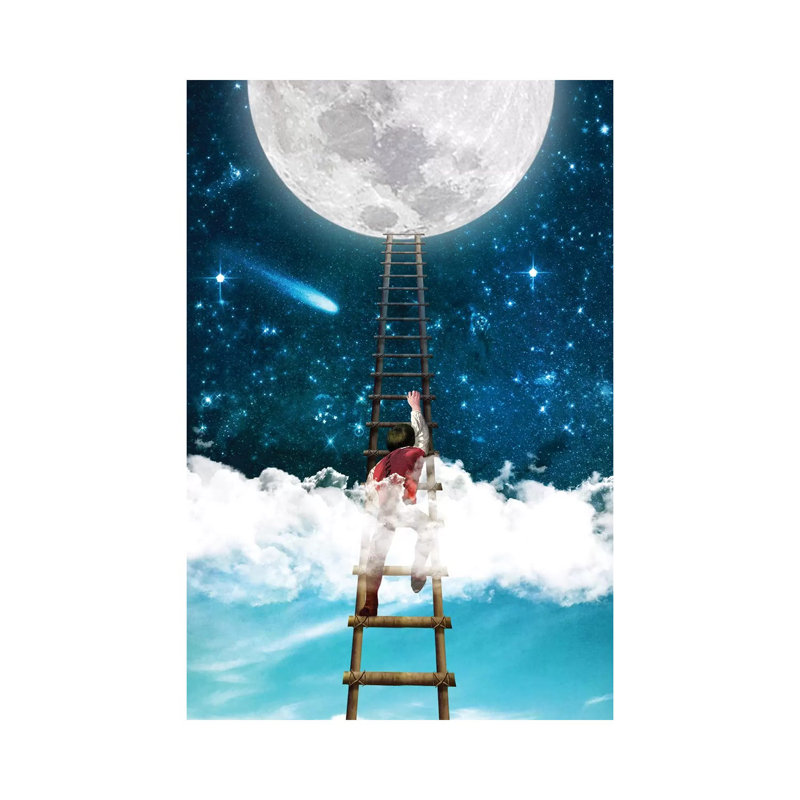 Reach For The Moon I, 12 po x 8 po x 0,75 po, Toile tendue, Pas de tapis