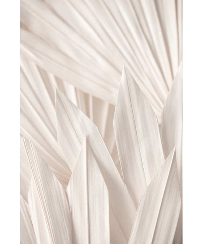Wrapped Canvas Print, 50.8cm H x 76.2cm W