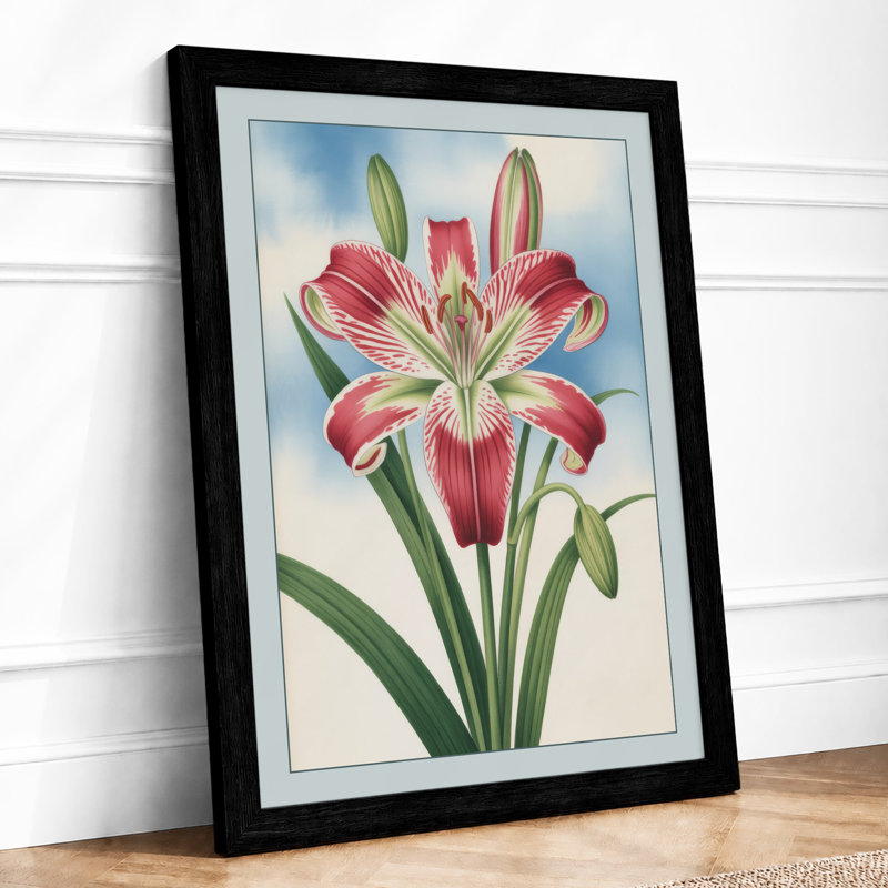 Amaryllis in Bloom Botanical - Framed Print, A1 - 84.1 x 59.4 cm, Black