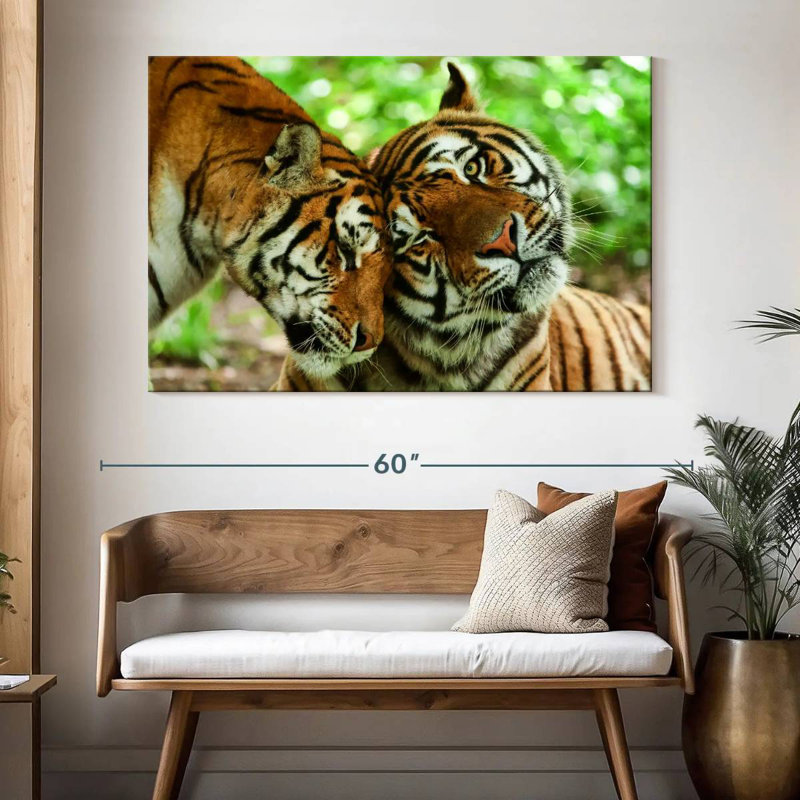 Brampt Loving Tigers