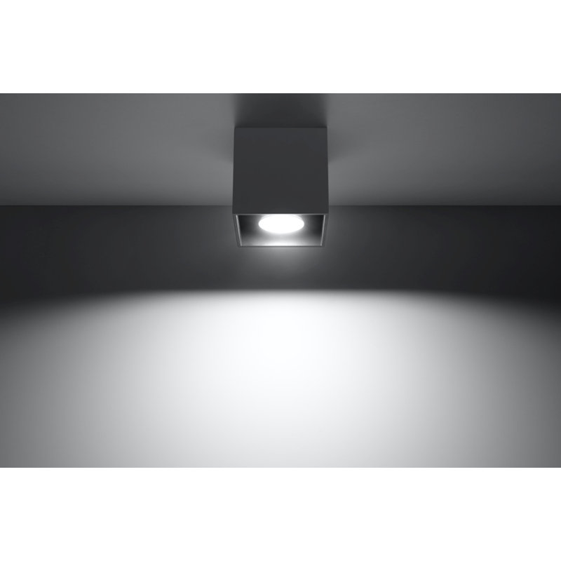 Flush Mount