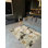 Siemone Floral Indoor / Outdoor Rug