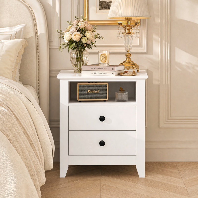 Ololade 19.7" W 2-Drawer Nightstand with Open Shelf