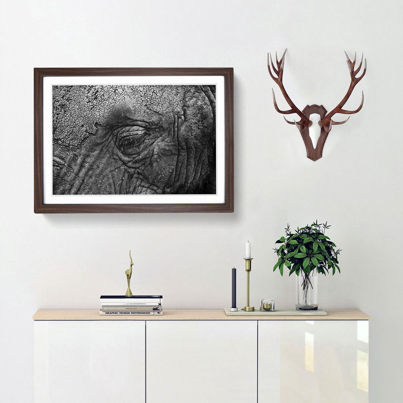 Elephant - Picture Frame Graphic Art Print, Walnut Framed, 48cm H x 65cm W x 2cm D