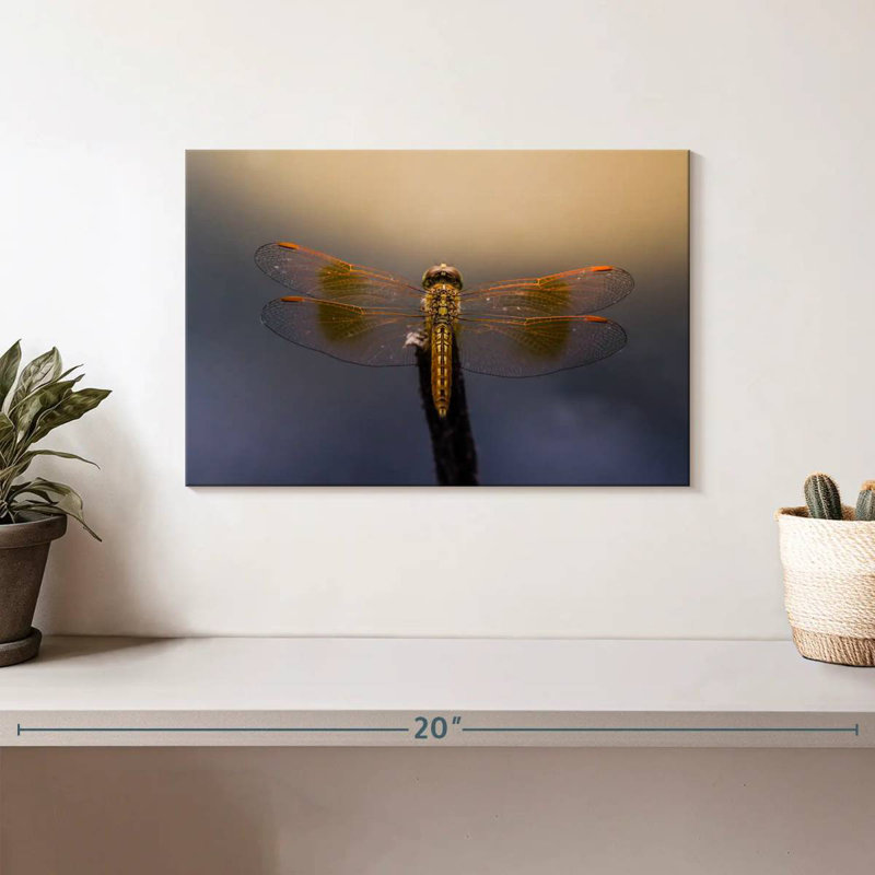 Crowle Dragonfly Glow, 8" H x 12" W
