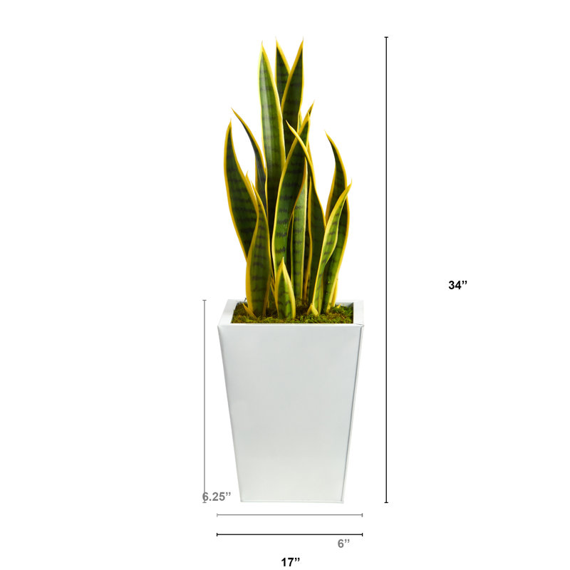 Plante artificielle en pot, Blanc, H 34 po x l 17 po x P 17 po